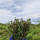 금당목장 이미지