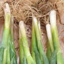 와 싸다 장터 이미지