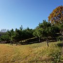 전 기황후 릉 터 이미지