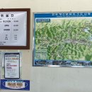 충효로(길안면) 이미지