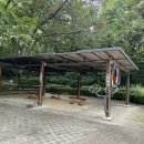 명일공원 유아숲체험원 이미지