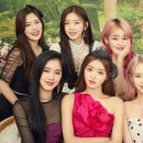 퍼키걸 이미지