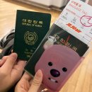보홀 헤난 타왈라 후기｜헤난 숙소 비교+자유일정 추천코스 싹 정리 (졸리비, 레드크랩, 골드 스파 포함)