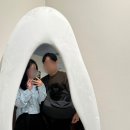서현애견미용실 | [공지] 서현역 미용실, 애견 동반 미용실 누보살롱 헤어&amp;두피