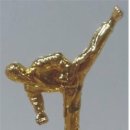 가오엑티브태권도 이미지