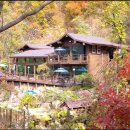 아침향기 이미지