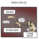 일리움필라테스