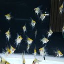 (주)아쿠아링크 이미지