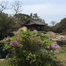 보길도 윤선도 원림 이미지