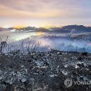 미국 캘리포니아 산불 확산(2014년5월)|♡,·´″″° 이미지