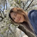 교동세천 이미지