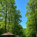 고산오네여(고산ONAIR) | [여름 피서는 여기! 완주 고산자연휴양림 리얼후기/예약방법/추천자리/가족여행 꿀팁 총정리]