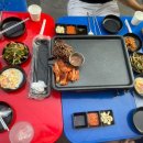 588제주흑도야지