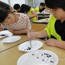 숟가락 젓가락 이미지