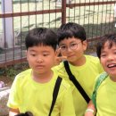 해냄스포츠클럽 차돌합기도 이미지