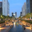 P.E.M Korea 이미지