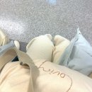 [겨울여행 ☃️] 🇯🇵 일본 삿포로 여행기 3일차 - 삿포로역에서 미나미오타루역까지 🚞 오르골당, 오타루운하