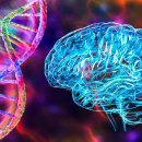 day one fitness 이미지