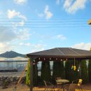 소보리애 이미지