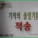 솔잎식품 이미지