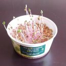 안좌면자라도보건진료소 | 인천서구보건소) 2주간 자가격리 &amp; 격리해제 전 코로나 2차검사