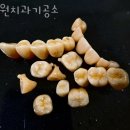 원치과기공소 이미지