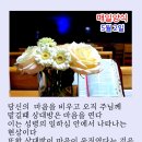 매일양식2
