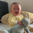 (주)유신이아이