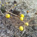 서부목장 이미지