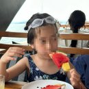 씨너리
