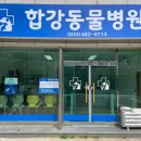 길종합동물병원 이미지