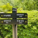 정발산공원 화장실-5 네이버블로그