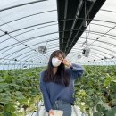 태기농원 | 뚜벅이 / 전라도 1박 2일 / 고속버스 / 구시포해수욕장 / 행복충전펜션 / 상하농원 / 딸기체험 / 공장체험