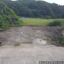 새땅공인중개사사무소 이미지