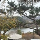 힐스테이펜션 이미지