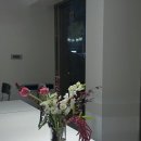 응암역 꽃집 누누모먼트 :: 공간을 화사하게 채우는 매력적인 한묶음