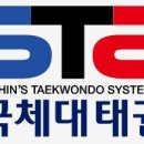 STS한국체대태권도 이미지