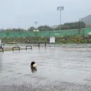 윤이나의 축구실력 mbc촬영하며 이미지