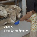로봇초밥마켓거제마도로스점 | 6개월 아기, 5살 아이와 거제 여행 코스 흔하지 않은 거제도 여행코스
