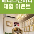 메디스킨바디