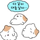 도쿄스웨디시