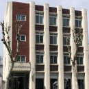 강아지 정거장 | 대전 흐그이므자 | 강아지산도로 유명한 인스타 핫플 주말 방문 후기