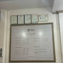 바디숨테라피 이미지