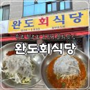 달에서 온 산오징어 | 속초 오징어 물회 맛집 완도회식당, 내돈내산 솔직 후기(웨이팅, 주차)