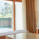 풀베르데 이미지