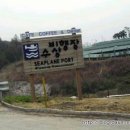 국제청풍