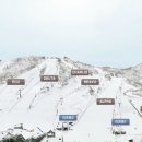알펜시아리조트알펜시아스키장 네이버블로그