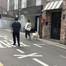 카페카모그라프