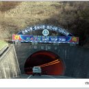 돌고래횟집 이미지