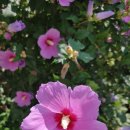 나무유통 이미지